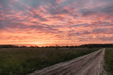 Sunset in the field after the rain