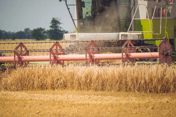 Harvester Working Field — Stock Photo, Image