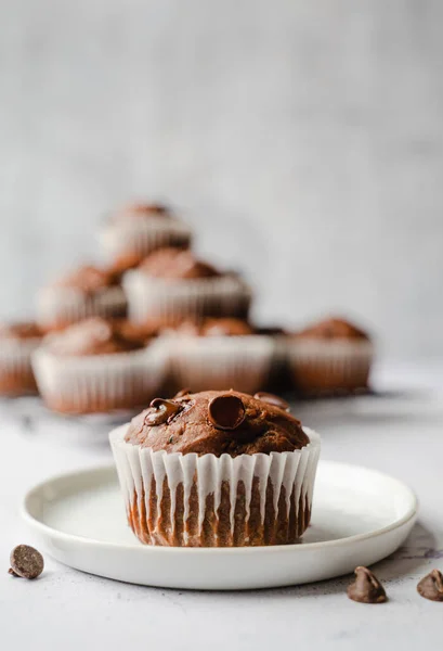 Närbild Choklad Chip Zucchini Muffin Vit Bakgrund — Stockfoto
