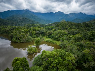 Beautiful aerial drone view to wetlands and lakes on green rainforest area with mountains on the back, REGUA, Rio de Janeiro, Brasil