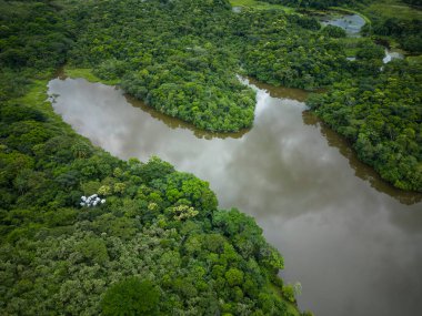 Beautiful aerial top down view to wetlands and lakes on green rainforest area in REGUA, Rio de Janeiro, Brasil