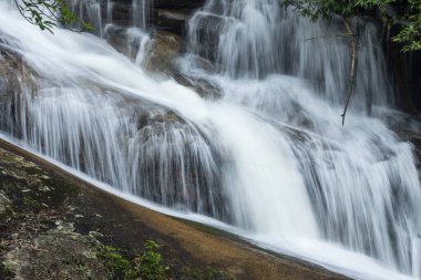Beautiful view to green rainforest waterfall in jungle area near Paraty, Rio de Janeiro, Brazil