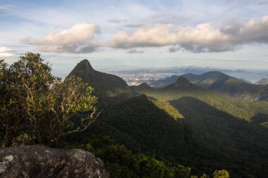 Beautiful view to mountains and green atlantic rainforest scenario from Bico do Papagaio in Tijuca Forest, Rio de Janeiro, Brazil