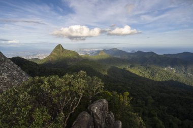 Beautiful view to mountains and green atlantic rainforest scenario from Bico do Papagaio in Tijuca Forest, Rio de Janeiro, Brazil