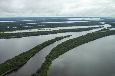 Beautiful aerial view to large river and green Amazon Rainforest, near Manaus, Amazonas State, Brazil