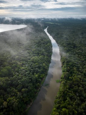 Beautiful aerial drone view to large rivers and green rainforest in the Brazilian Amazon