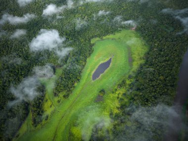 Beautiful aerial top down drone view to large river and green rainforest in the Brazilian Amazon