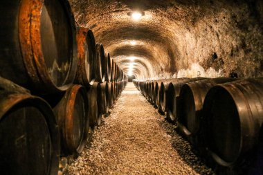 Old cellar in the Tokaj region