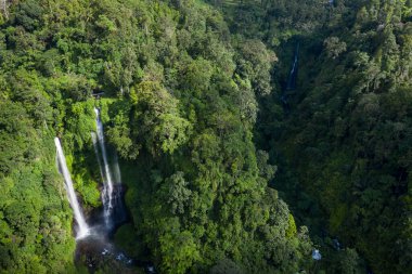 Drone view of Sekumpul waterfall in North Bali in Indonesia