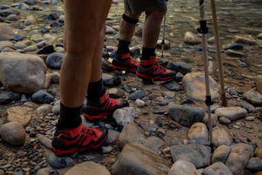 Yürüyüşçüler Zion Ulusal Parkı 'nda yürüyüş yapıyor.