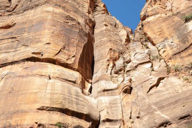 Canyon walls in Zion National Park on Weeping Rock Trail
