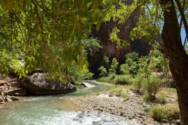 Big Bend River Trail near the Narrows in Zion National Park