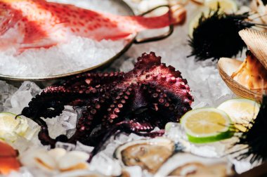 octopus, clams and fish on ice