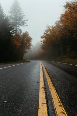 Fall Road in Great Smoky Mountain National Park