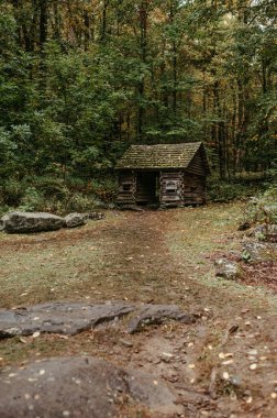 Cabin in Great Smoky Mountain National Park