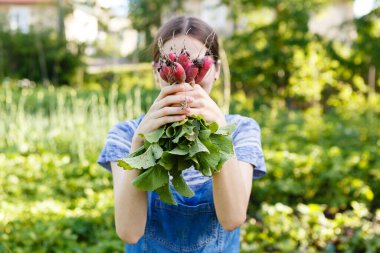young woman holds a bunch of fresh radishes to herself on a farm