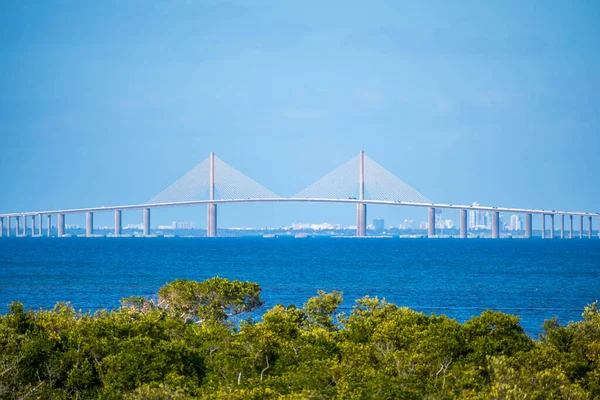 View Skyway Cable Stayed Bridge Robinson Nature Preserve — Stock Photo, Image