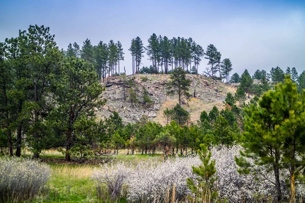 Epic Landscape Scenery Walking Trail State Park — Stock Photo, Image