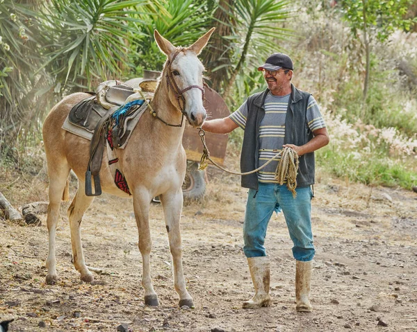 農家の男ポージングとともに馬カメラ田舎の生活に反転 — ストック写真