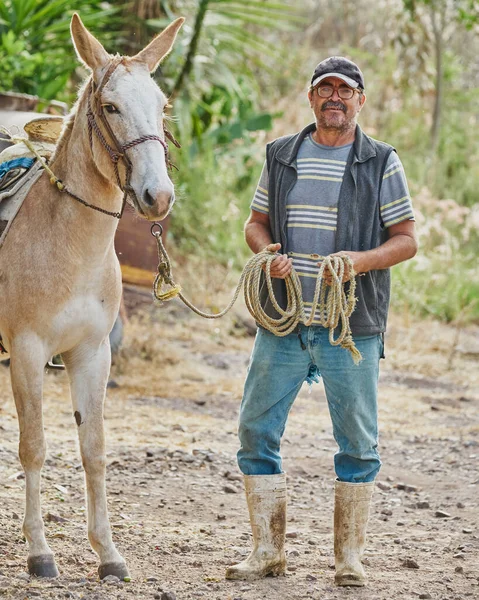 農家の男ポージングとともに馬カメラ田舎の生活に反転 — ストック写真