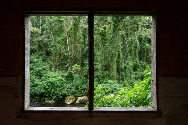 Widok Okna Starej Opuszczonej Elektrowni Zielone Lasy Deszczowe — Zdjęcie stockowe
