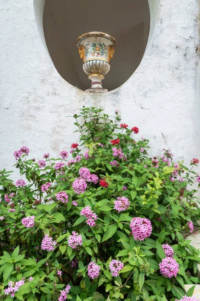 Вид Цветные Розовые Красные Цветы Керамическую Вазу Саду Исторического Дома — стоковое фото