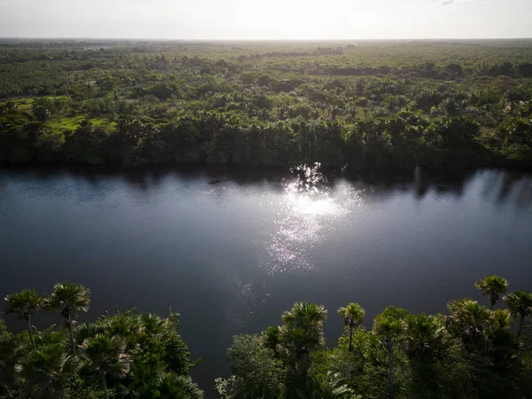 Вид Воздуха Большую Реку Прегиас Зелеными Насаждениями Барриньясе Мараньо Бразилия — стоковое фото