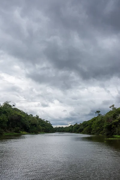 Beautiful View Large River Big Rain Clouds Green Amazon Rainforest — ストック写真
