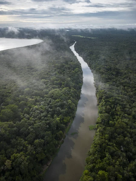 Beautiful Aerial Drone View Large Rivers Green Rainforest Brazilian Amazon — Stok fotoğraf