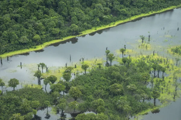 Hermosa Vista Aérea Gran Río Selva Amazónica Verde Cerca Manaus — Foto de Stock