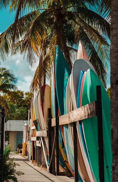 Three Boards Beach Boats Palms Tropical Miami — Stock Photo, Image