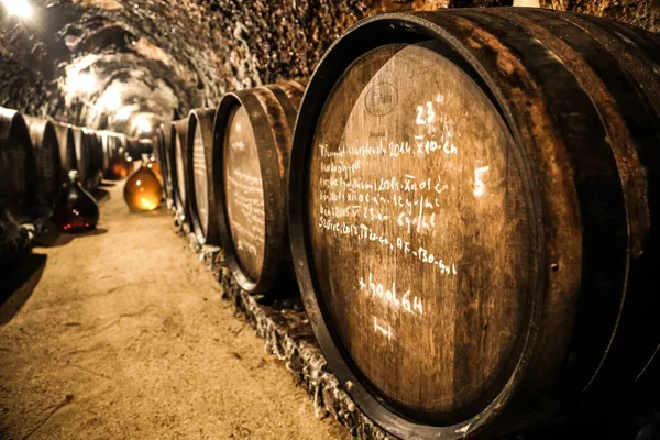 Old Cellar Barrels Somewhere Tokaj Region — Stock Photo, Image