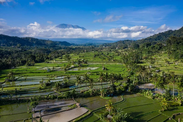 Aerial Drone View Valley Sidemen Bali Indonesia — 스톡 사진