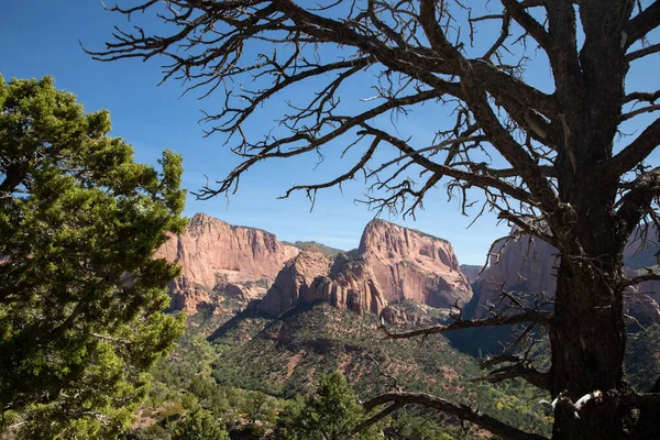 Beautiful Landscape View Top Zion National Park — Stock Photo, Image