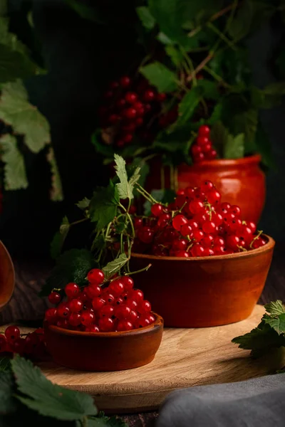 Red Currant Berries Clay Bowl Branches — Stock Photo, Image