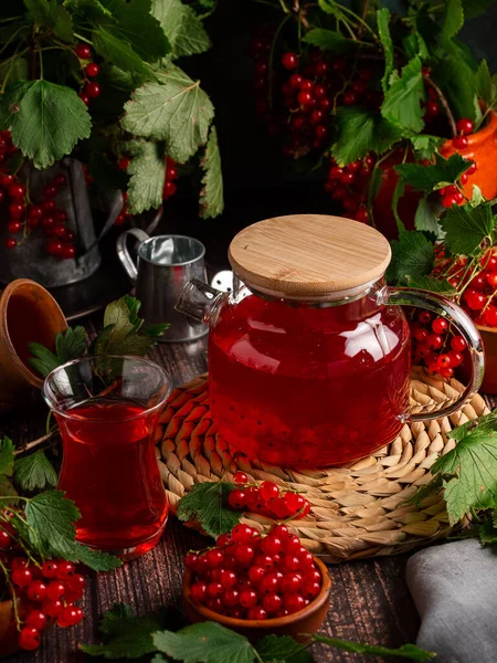 Red Currant Tea Glass Teapot Dark Background Berr — Stock Photo, Image