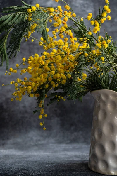 Lente Gele Mimosa Bloemen Het Interieur — Stockfoto