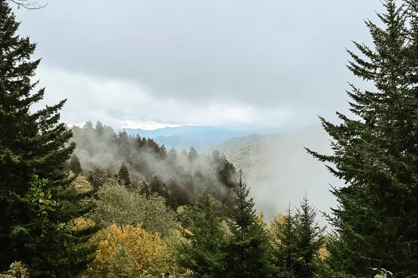 Newfound Gap Great Smoky Mountains National Park — Stock Photo, Image