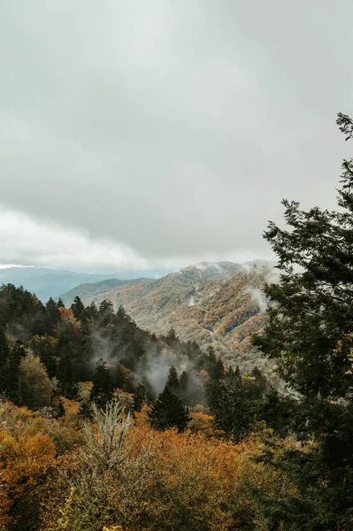 Vista Newfound Gap Great Smoky Mountain National Park — Fotografia de Stock