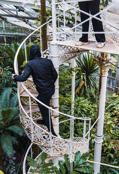 人们爬上被植物环绕的螺旋形楼梯 — 图库照片