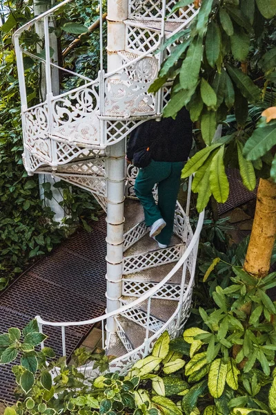 People Going Spiral Staircase Surrounded Plants — Fotografia de Stock