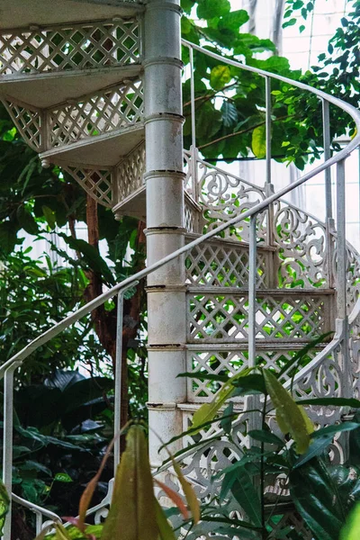 People Going Spiral Staircase Surrounded Plants — ストック写真