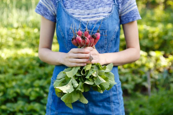 Young Woman Holds Bunch Fresh Radishes Herself Farm — Stockfoto