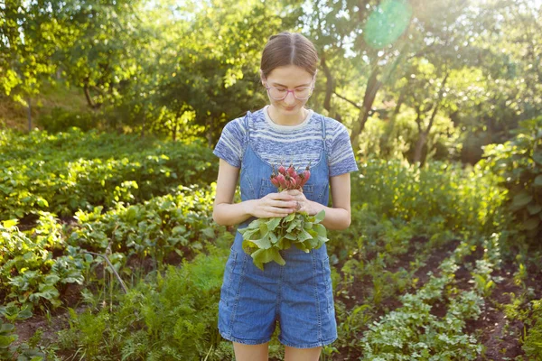 Young Woman Holds Bunch Fresh Radishes Herself Farm — Foto de Stock