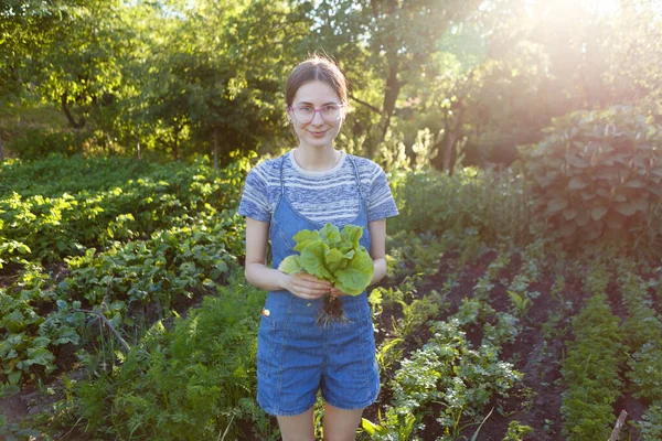 Woman Holding Bunch Fresh Green Salad Grown Farm — Foto de Stock
