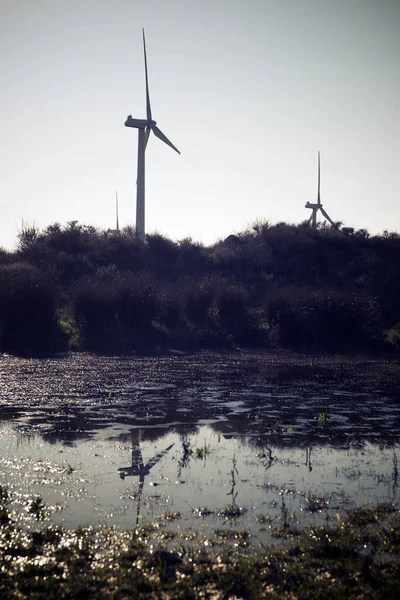 Wind Turbines Generators Renewable Electric Energy Production Small Lake — Stock Photo, Image