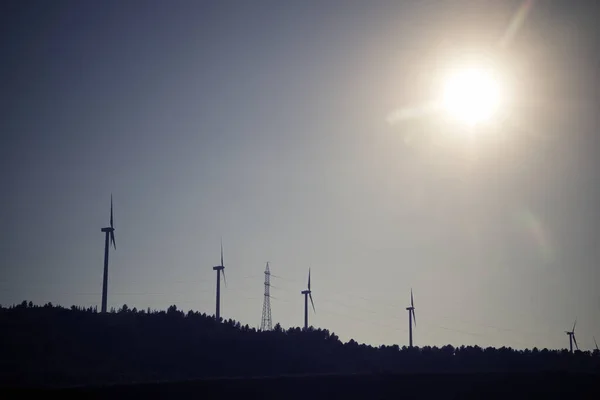 Wind Turbines Generators Renewable Electric Energy Production — Photo
