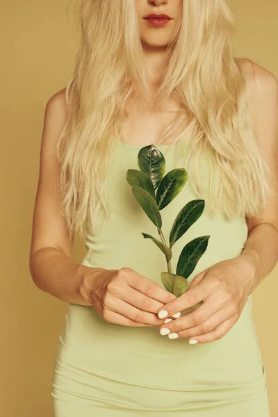 Blonde Womanand Natural Make Holding Leaves Closeup Hands — Stockfoto