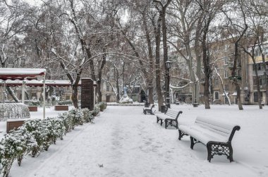 Odessa, Ukraine 29.01.2023. Gloomy winter day on the Palais Royal Square in Odessa, Ukraine