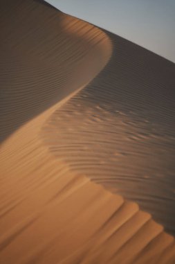Minimalistic vertical frame with sand pattern on a dune.